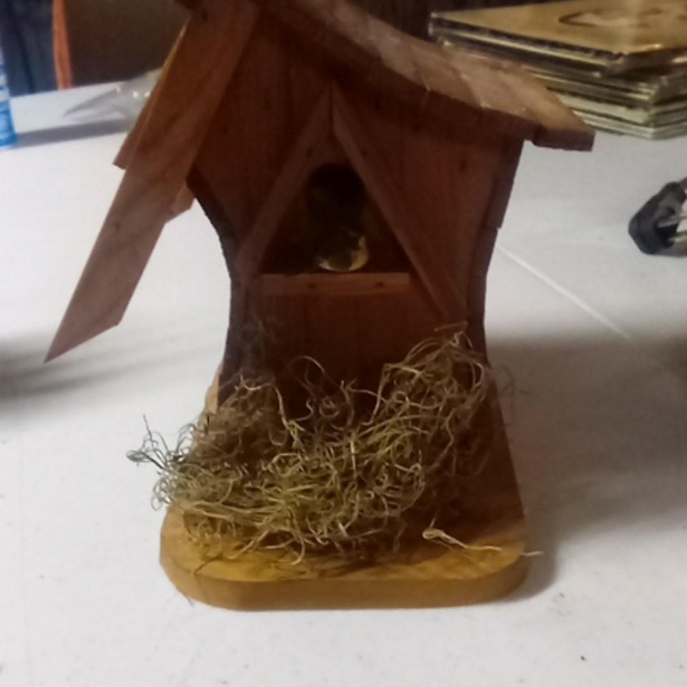 homemade Bird house